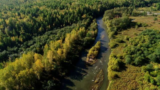 Vista-aérea-del-material-de-archivo-de-Drone:-Vuelo-otoño-montañas-y-pequeños-ríos-con-bosques-en-luz-suave-del-amanecer.-Majestuoso-paisaje.