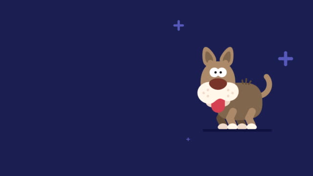 Horóscopo-chino-de-carácter-Animal-divertido-perro-y-estrellas-parpadeantes