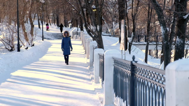 Mujer-joven-en-azul-por-la-chaqueta-con-capucha-de-piel,-caminando-en-el-parque-de-invierno.-Vista-frontal.