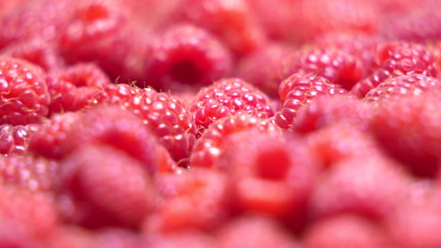 Fresh-sweet-raspberries-background.-Ripe-raspberry-dolly-shot-close-up