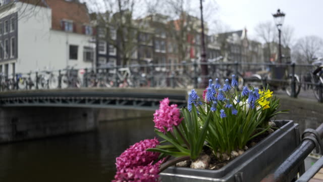 Kanal-Damm-in-Amsterdam-dekoriert