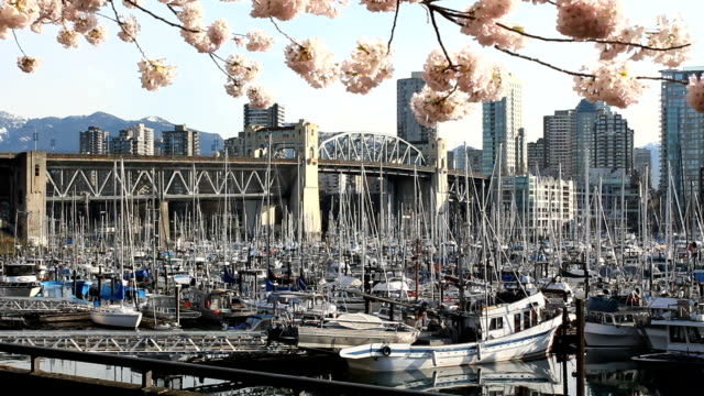 Burrard-Bridge-Spring-Blossoms,-Vancouver