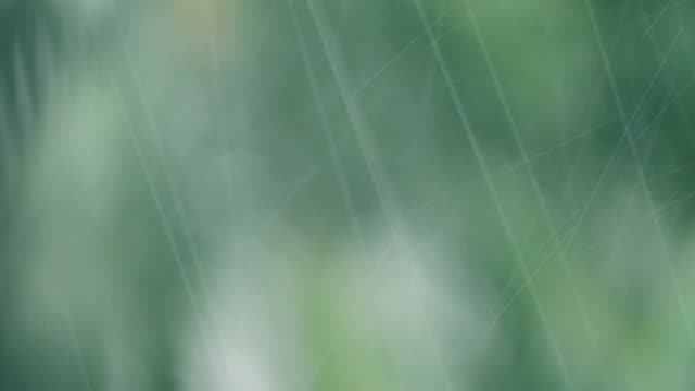 Rain-on-green-leaf-background