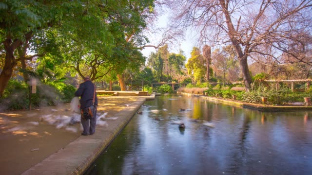 Parque-de-Sevilla,-estanque-y-hombre-con-pájaros-luz-de-día-4-K-lapso-de-tiempo-de-España