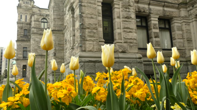 Flowerbed-Parliament-building-Victoria-Canada
