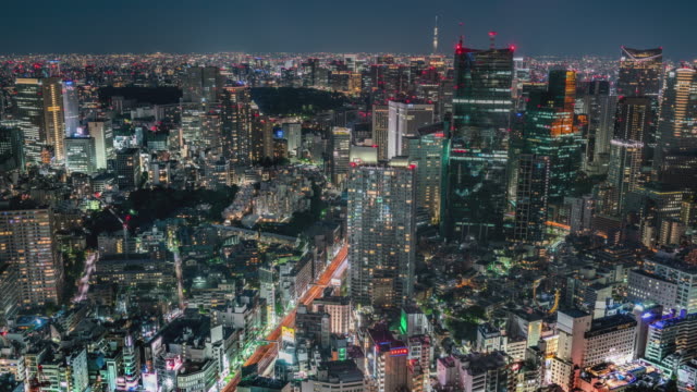 Elevated-view-of-Tokyo