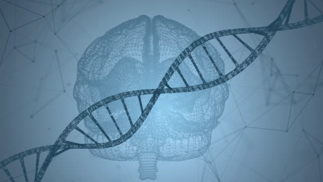 Menschliche-DNA,-das-Gehirn.-Zusammenfassung-Hintergrund-mit-Plexus.-Loop-animation
