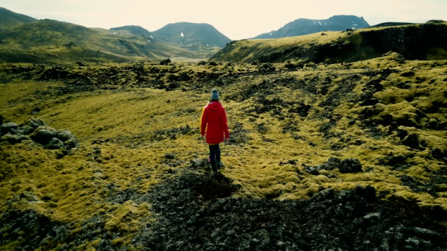 Aerial-view-of-two-female-walking-on-lava-field-covered-moss-in-Iceland,-exploring-the-meadow.-Tourists-hiking-together