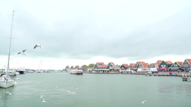 Birds-flying-over-the-sea-in-the-coast-of-Volendam