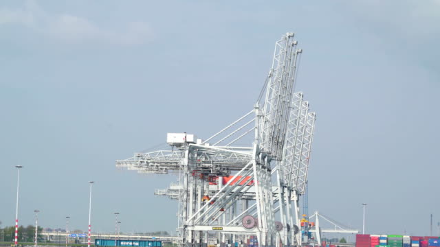 The-white-cranes-on-the-side-of-the-sea-of-Rotterdam