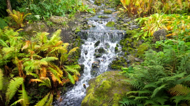 Hermosa-cascada-en-el-Real-Jardín-Botánico-de-Edimburgo,-Escocia