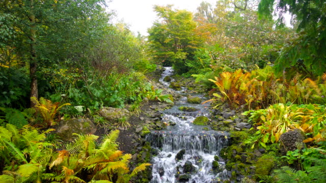 Hermosa-cascada-en-el-Real-Jardín-Botánico-de-Edimburgo,-Escocia