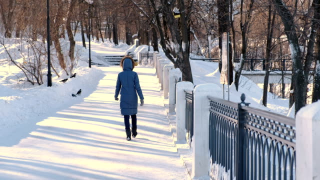 Mujer-joven-en-azul-por-la-chaqueta-con-capucha-de-piel,-caminando-en-el-parque-de-invierno.-Vista-posterior.