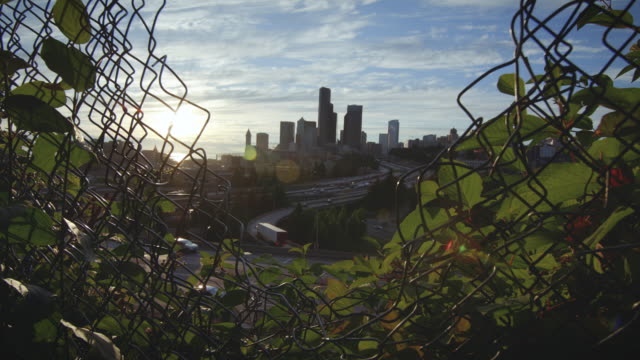 Beautiful-Nature-to-City-Transition-Through-Chain-Fence-Hole