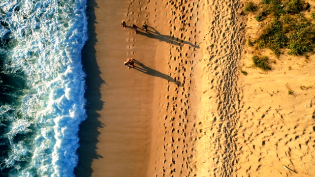 Turistas-caminando-en-la-playa-en-un-día-soleado-4k