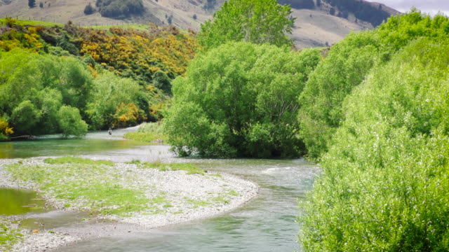 Fly-fisherman-in-pristine-New-Zealand-river.-Wide-shot.