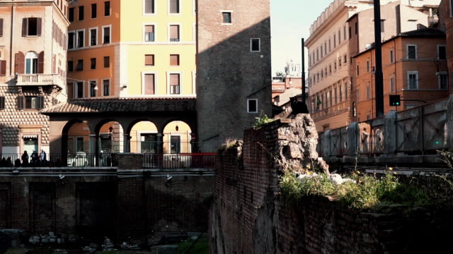 View-of-square-of-Largo-di-Torre-Argentina-in-Rome,-Italy.-Location-of-archeological-dig.-The-cat-sits-on-excavation