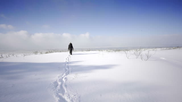 Ansicht-der-Georgian-Bay-Ontario-Kanada-im-Winter-mit-Schnee-Frau-zu-Fuß