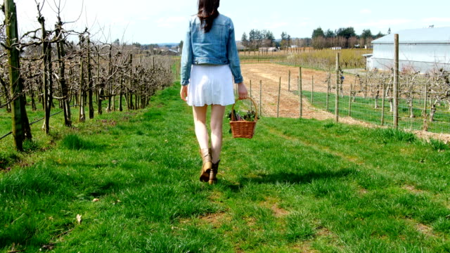 Woman-with-vegetable-basket-walking-in-a-vineyard-4k