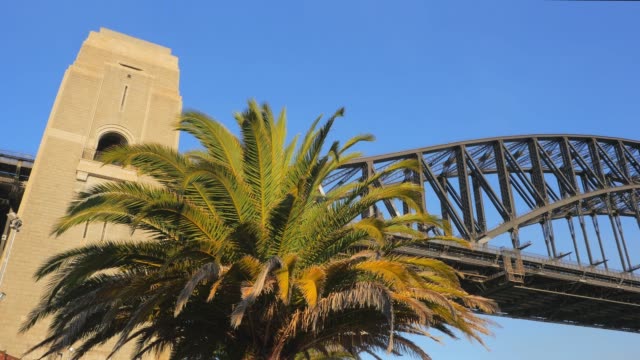 Sydney-Harbour-Bridge-y-palm-árbol-4k