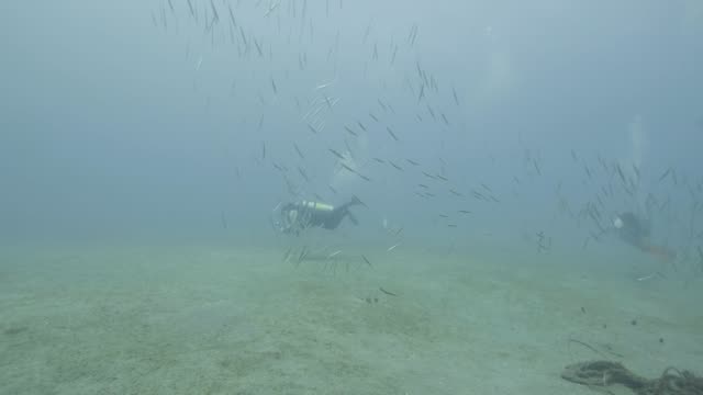 Scuba-diver-swimming-among-fish-on-seabed-underwater-view.-Sea-diving