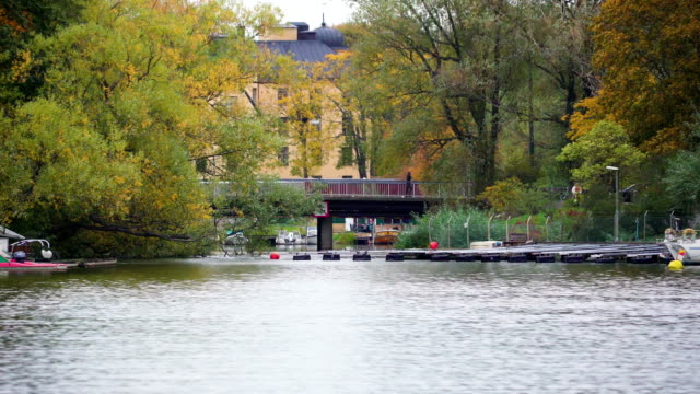 Bäume-und-Pflanzen-fast-bedeckt-die-kleine-Brücke-in-Stockholm-Schweden