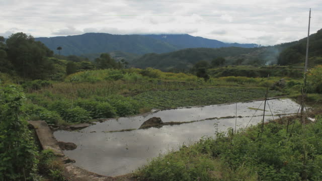 Wasser-Reflexion-auf-Reis-Felder-aus