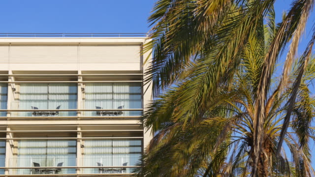 beach-hotel-top-palm-view-4k
