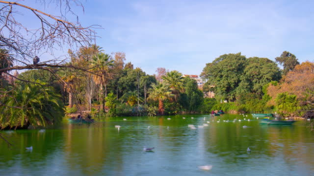 spain-barcelona-day-light-ciutadella-park-boat-riding-pond-4k-time-lapse