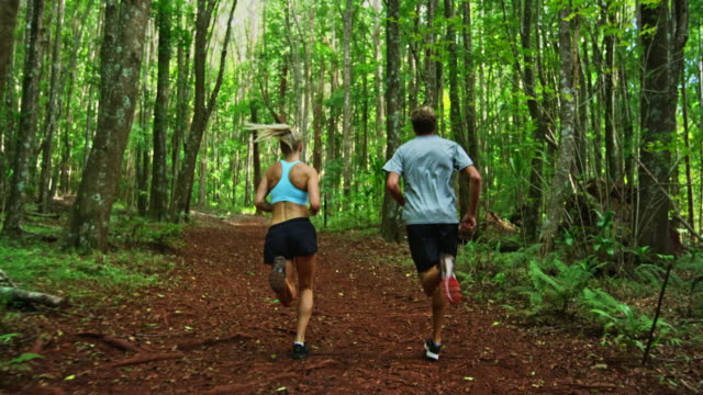Jogging-in-the-Forest