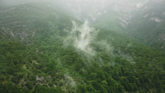 Nubes-lluvia-nieblas-por-encima-de-la-casa-de-aldea-de-Europa-de-montaña-en-el-bosque
