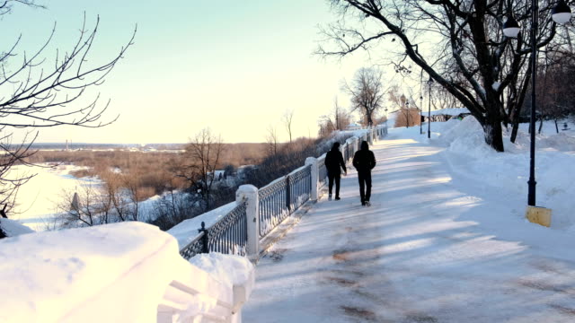 Two-guys-wearing-in-black-walking-in-winter-park.-Back-view.