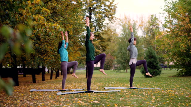Side-view-of-three-slim-girls-doing-yoga-in-park-practising-balancing-exercises-standing-on-one-leg-on-mat-and-moving-arms-and-body.-Youth,-leisure-and-hobby-concept.
