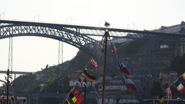 Boote-geschmückt-internationale-Flaggen-in-Porto