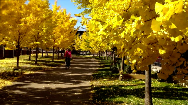 Autumn-Pittsburgh-Biker