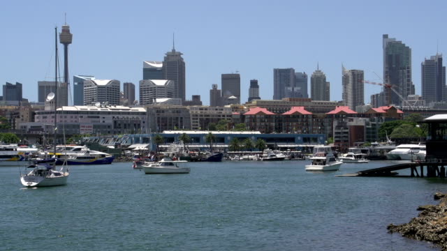 Glebe-Point-mit-Blick-auf-die-skyline-von-Sydney-und-die-Sydney-tower
