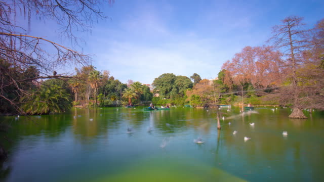 spain-barcelona-ciutadella-park-sun-light-pond-panorama-4k-time-lapse