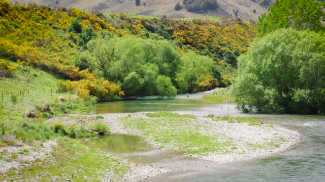 Fliegen-Sie-Fischer-in-der-unberührten-Neuseeland-Fluss.-Breite-Schuss.