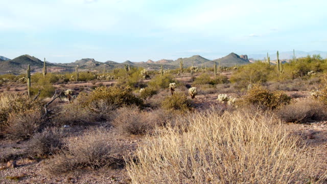Pan-de-montañas-Superstición-desierto-de-Arizona