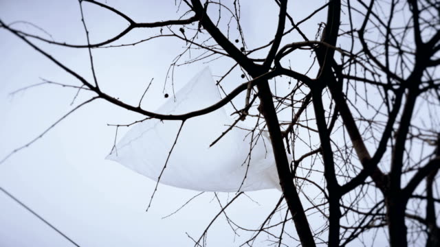 Discarded-plastic-bag-caught-in-the-branches-of-a-tree,-stock-footage.
