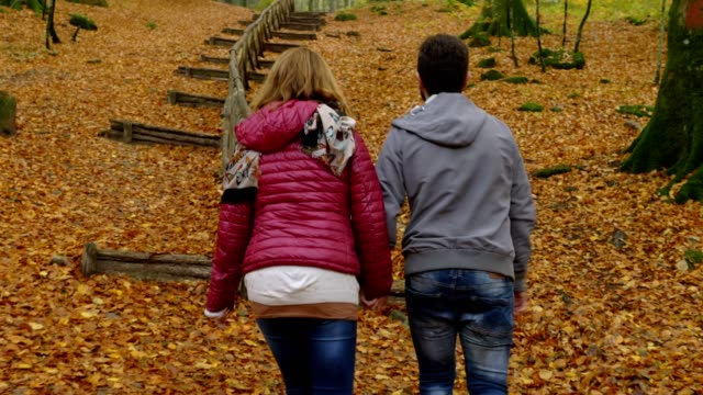 Lovers-walking-holding-hands-in-fall-park.-Love,nature