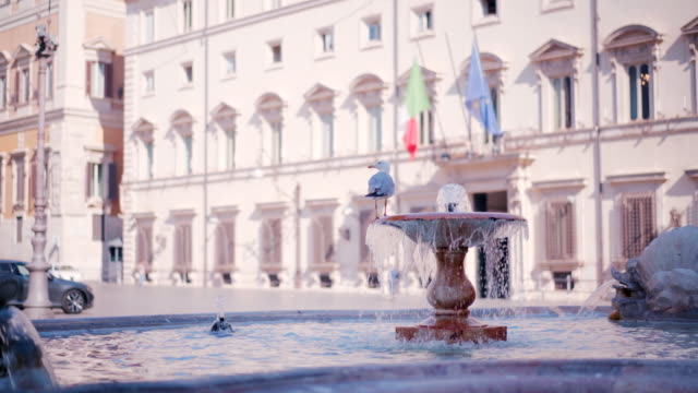 Rome-fountain.-White-seagull-standing-on-the-fountain-in-the-rome-city-on-the-central-square-near-the-house-on-which-the-flag-of-Italy-and-the-European-Union-hang.-italy-fountain