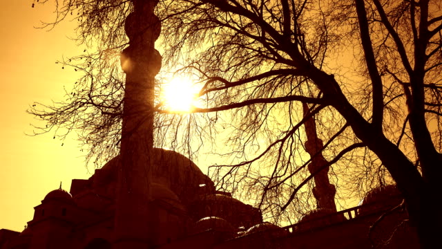 Mezquita-de-soleimán-el-magnífico,-Estambul,-Turquía