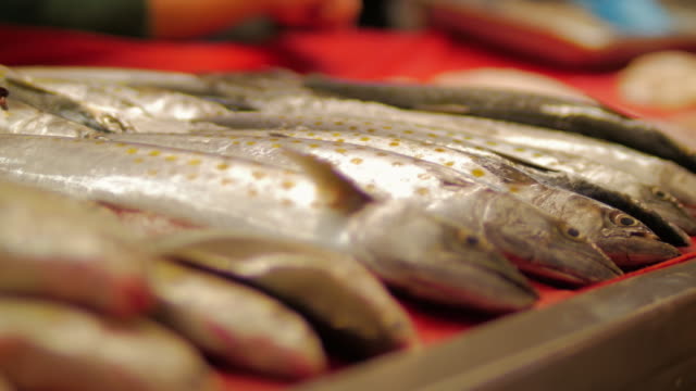 Nahaufnahme-von-einem-Haufen-von-Fisch-auf-einem-Fischmarkt