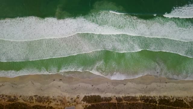 Aerial-view-of-wild-beach-and-surf-waves-in-South-Africa.