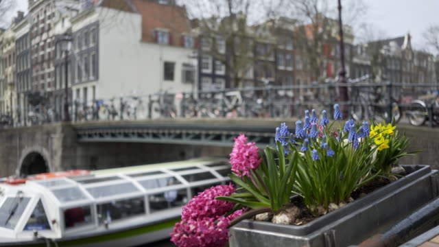 Straße-von-Amsterdam-verziert-Blumen