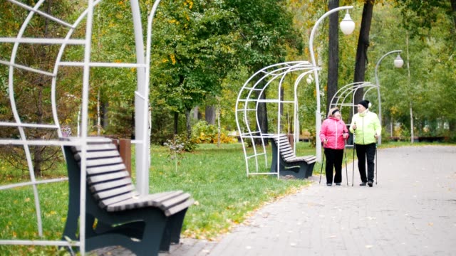 Las-mujeres-de-edad-en-chaquetas-caminando-sobre-la-acera-en-un-parque-de-otoño-durante-un-escandinavo