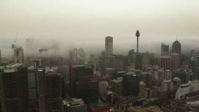 Foggy-misty-morning-in-Sydney.