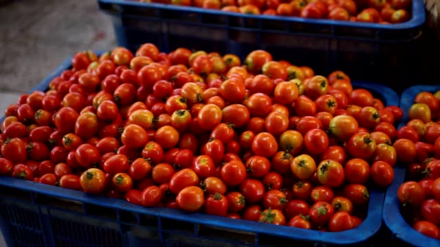Pila-de-tomates-orgánicos-para-la-venta-en-el-mercado-tradicional-de-hortalizas