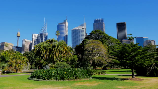 Sydney-City-Skyline,-Royal-Botanic-Garden